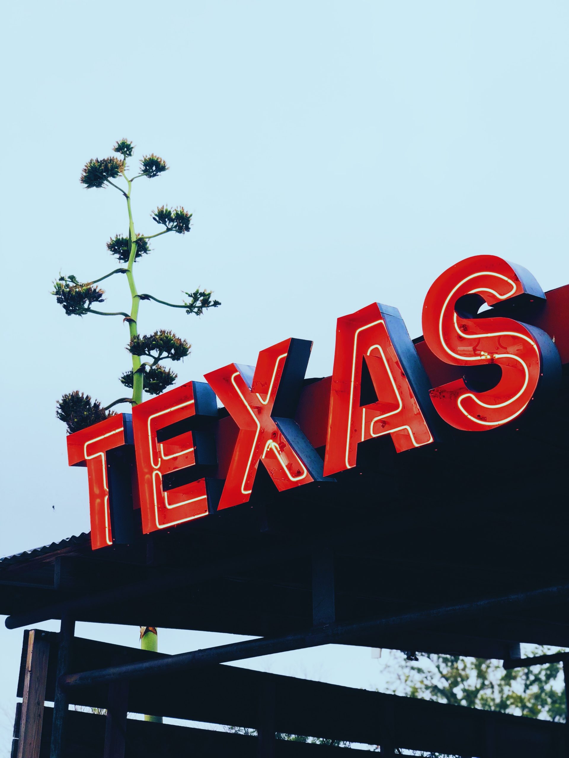 The Medical Cannabis Industry is Getting Bigger & Better in the Lone Star State