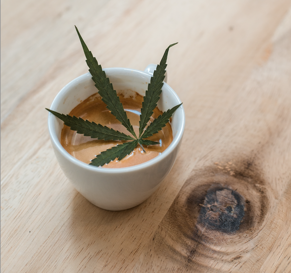 Amsterdam-style Cannabis Cafes Coming to California? Here’s What it Would Look Like if Assembly Bill 374 is Signed into Law