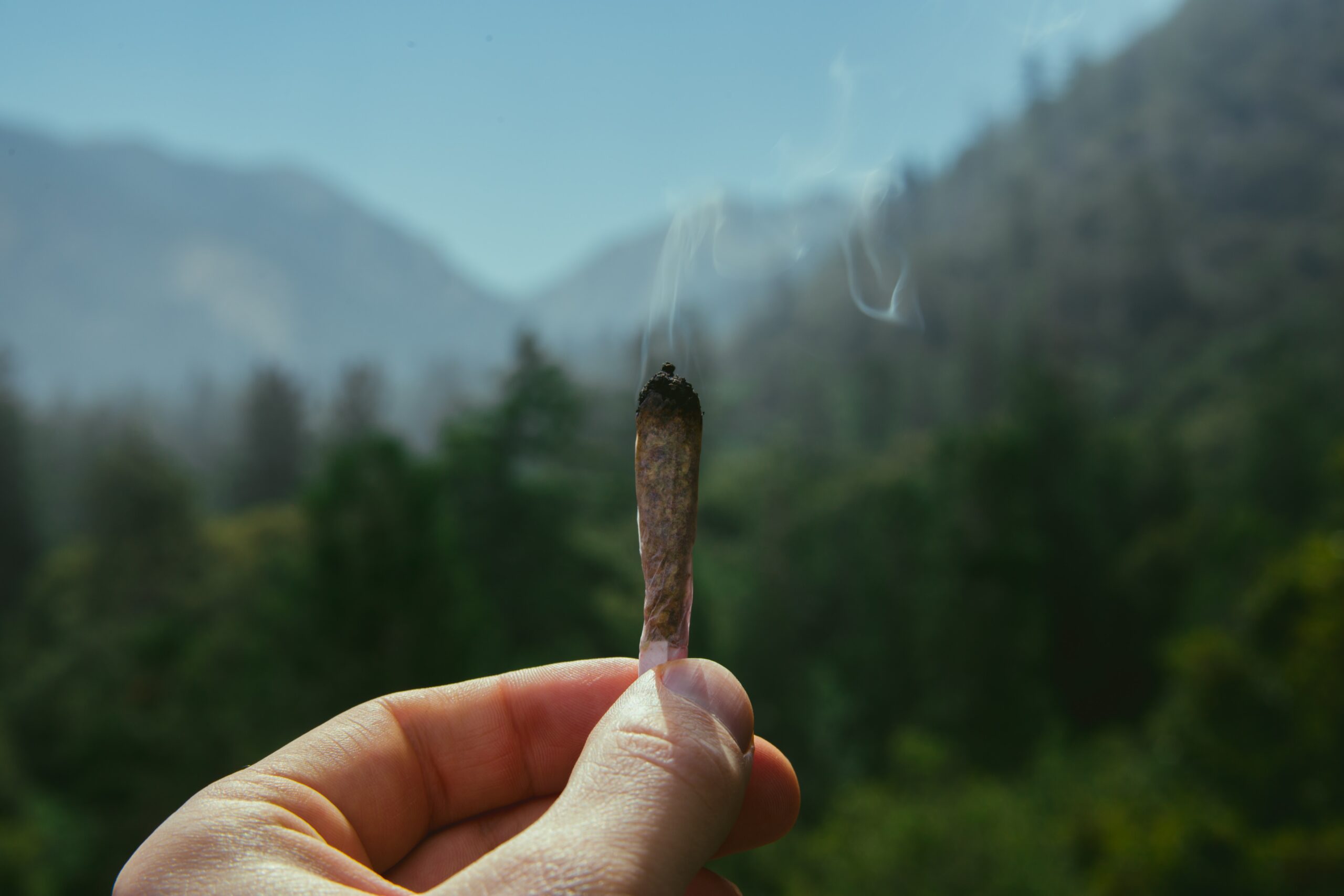 North Carolina’s Eastern Band of Cherokee Indians Vote Yes to Legalize Recreational Marijuana