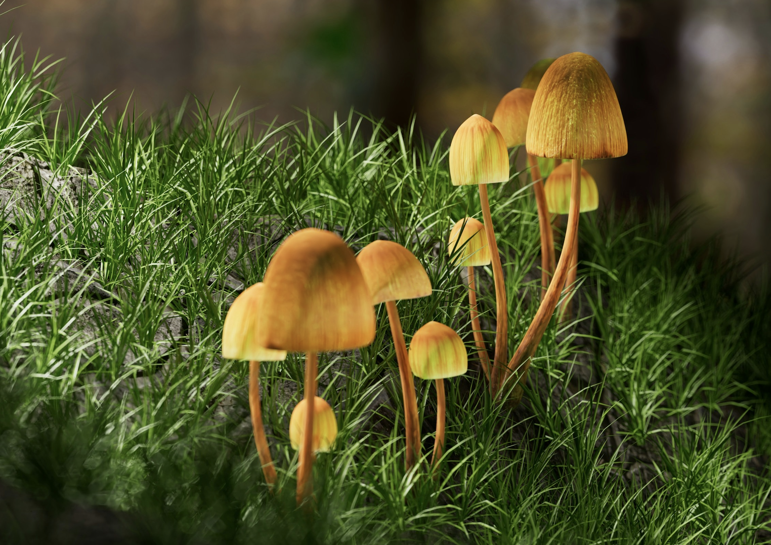 Colorado’s Natural Medicine Division Sets Forth Its Rulemaking Timeline to Establish the State’s Psilocybin Market